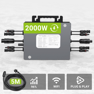 Lionshee Energy Europe Warehouse VDE IEC RED EN50549 Certified 2000W Solar Micro Inverter With 5M AC Cable