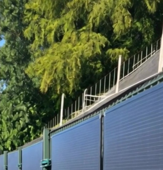Garden fence in the Netherlands fitted with LIONSHEE flexible solar panels mounted vertically, trees behind
