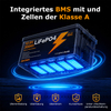 LIONSHEE BZ0003-LFP-300A 12.8V 300Ah 3840Wh IP67 LiFePO4 Lithium Battery