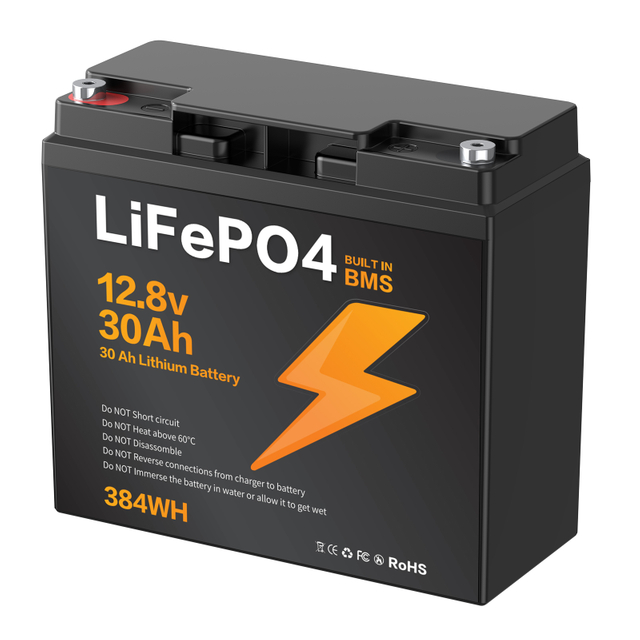 LIONSHEE BZ0037-LFPTS-30A 12.8V 30Ah 384Wh IP67 LiFePO4 Lithium Battery