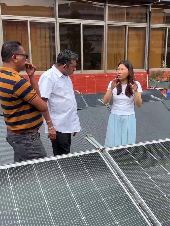 LIONSHEE flexible solar panel rooftop discussion